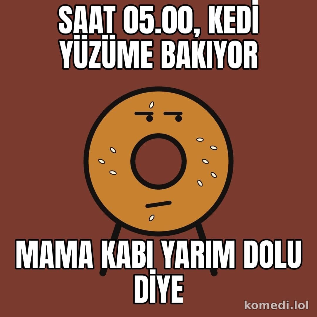 Kedi sabah 5'te