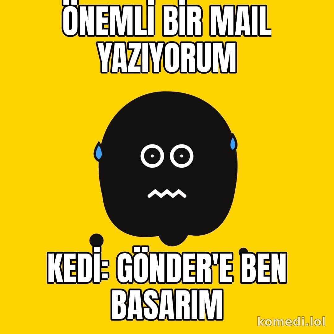 Kedi klavyede