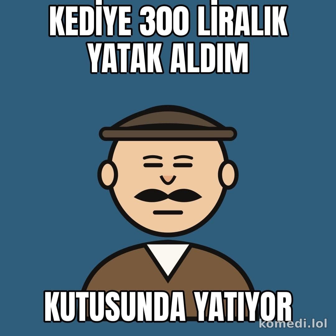Kedi yatağı yerine kutu