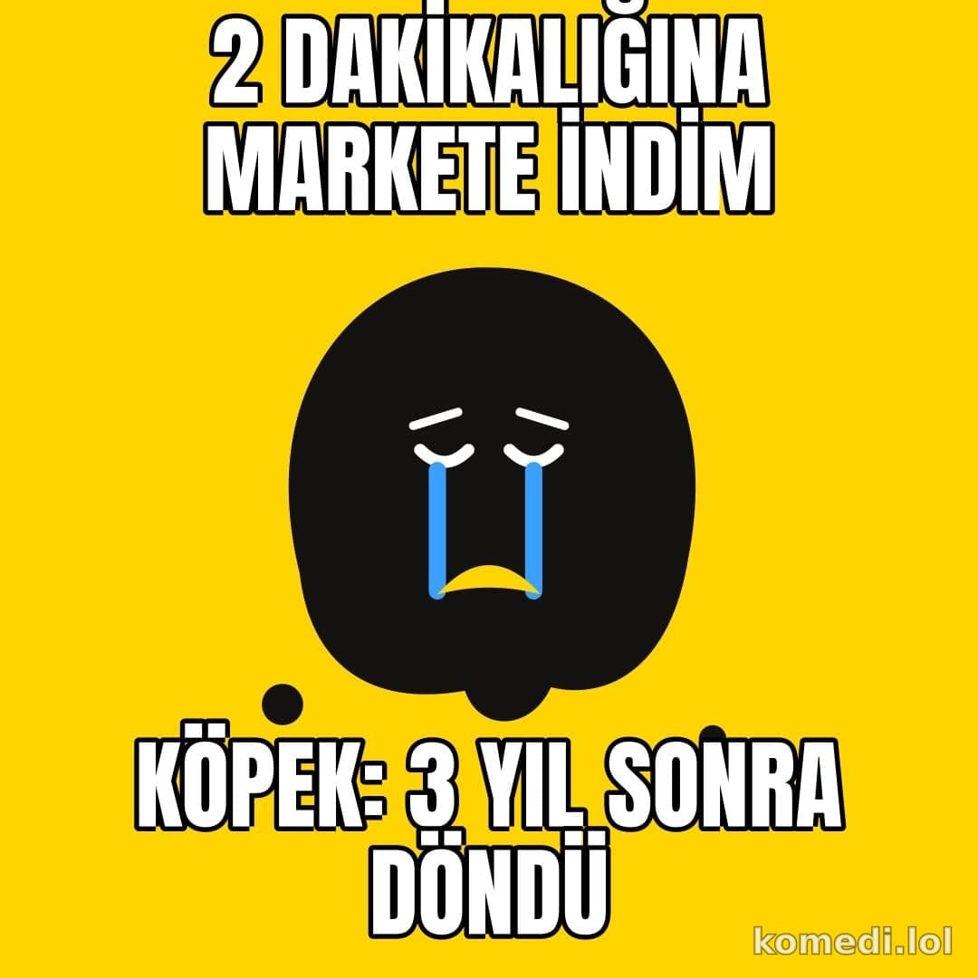 Köpek kapıda bekliyor